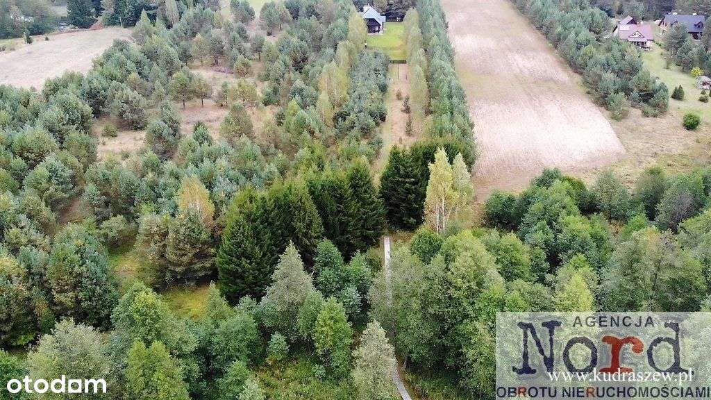 Działka, Linia Brzegowa Czarna Hańcza, - Pełny obrazek: 4/14