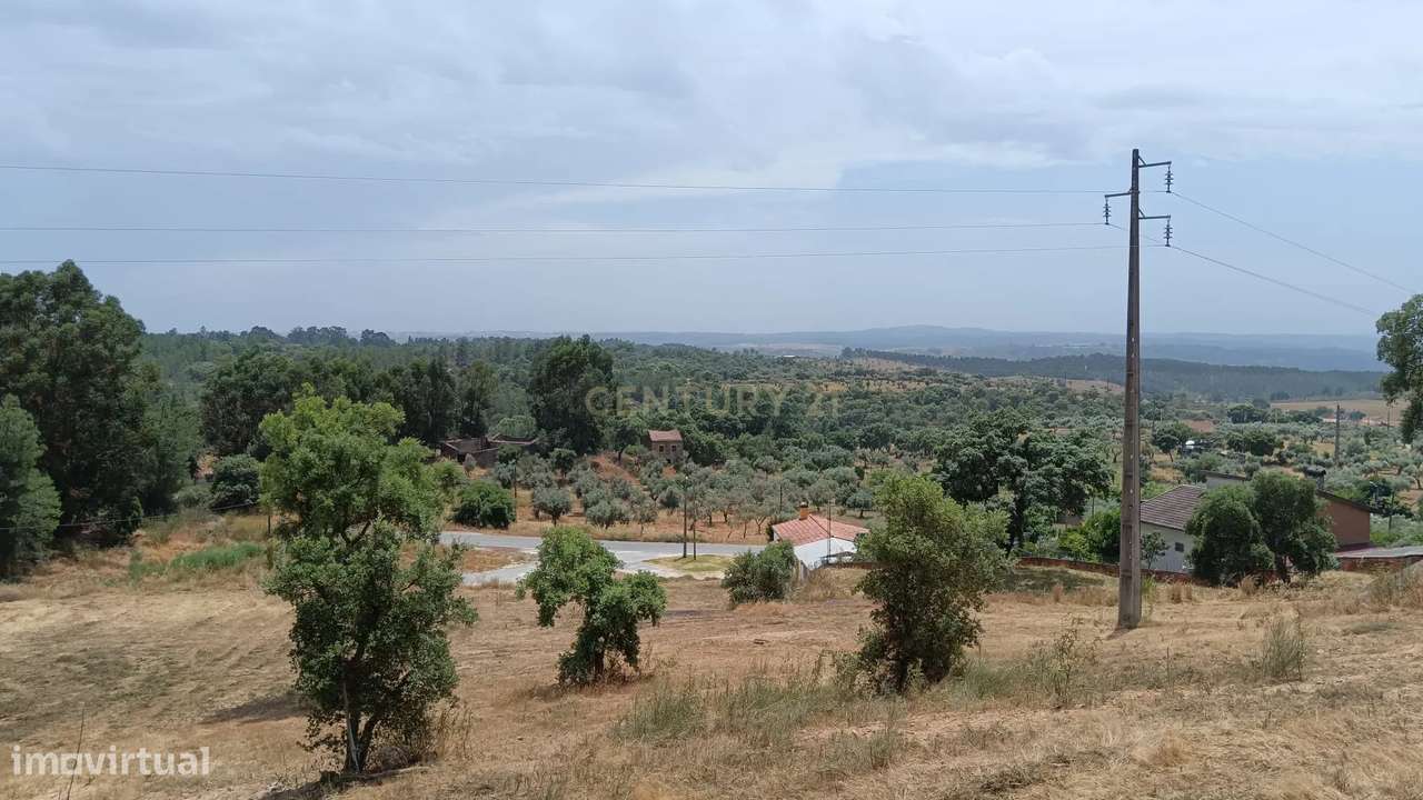 Terreno rústico 2ha, Palvarinho, Castelo Branco - Grande imagem: 2/13