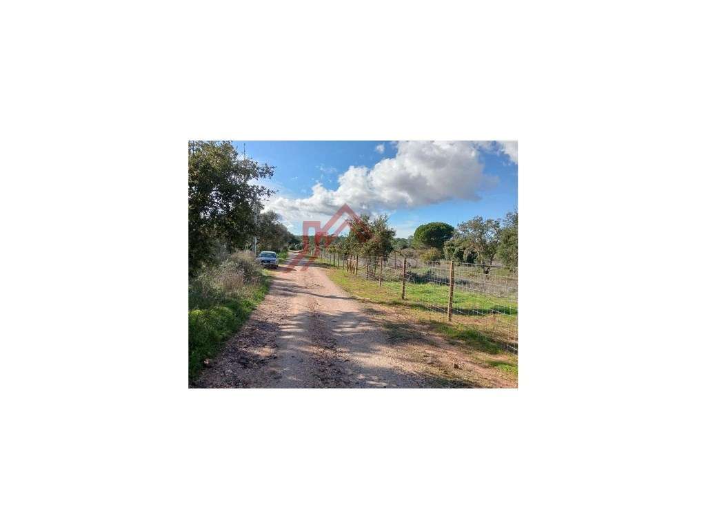 Terreno Rústico - 25.000 m² em Lagos, com Ligações, Acessos e Local...-5