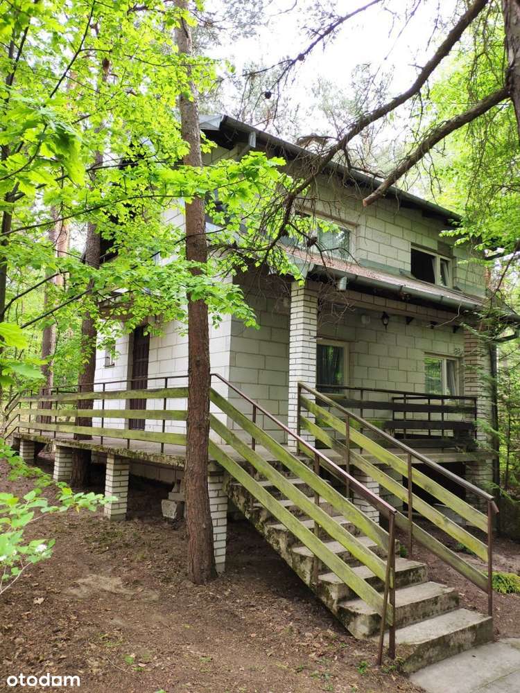 987102 - Pełny obrazek: 2/17