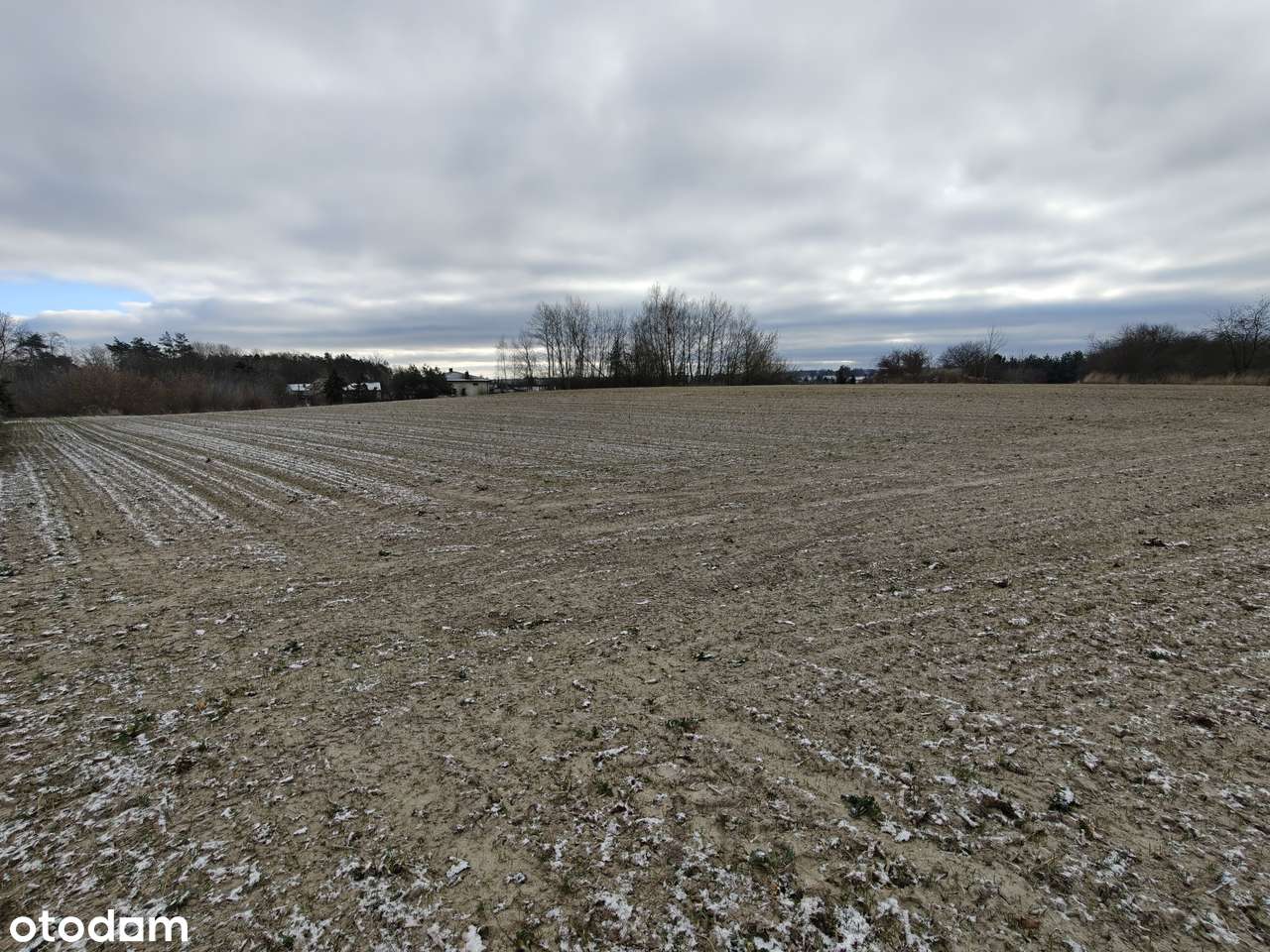 Działka mieszkaniowa 1,2 ha dla dewelopera ( lub podział na mniejsze) - Pełny obrazek: 4/12