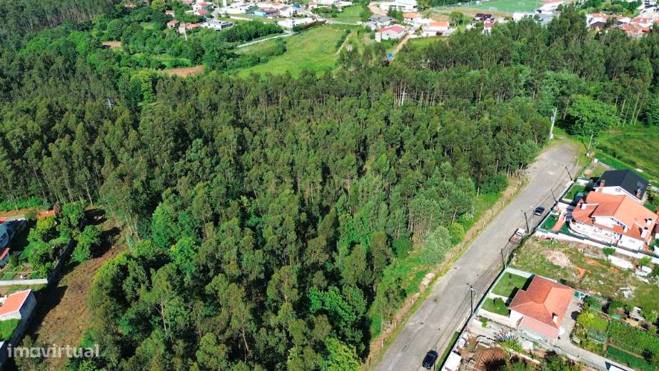 Terreno 7.135 m²- Vila Maior - Grande imagem: 4/5