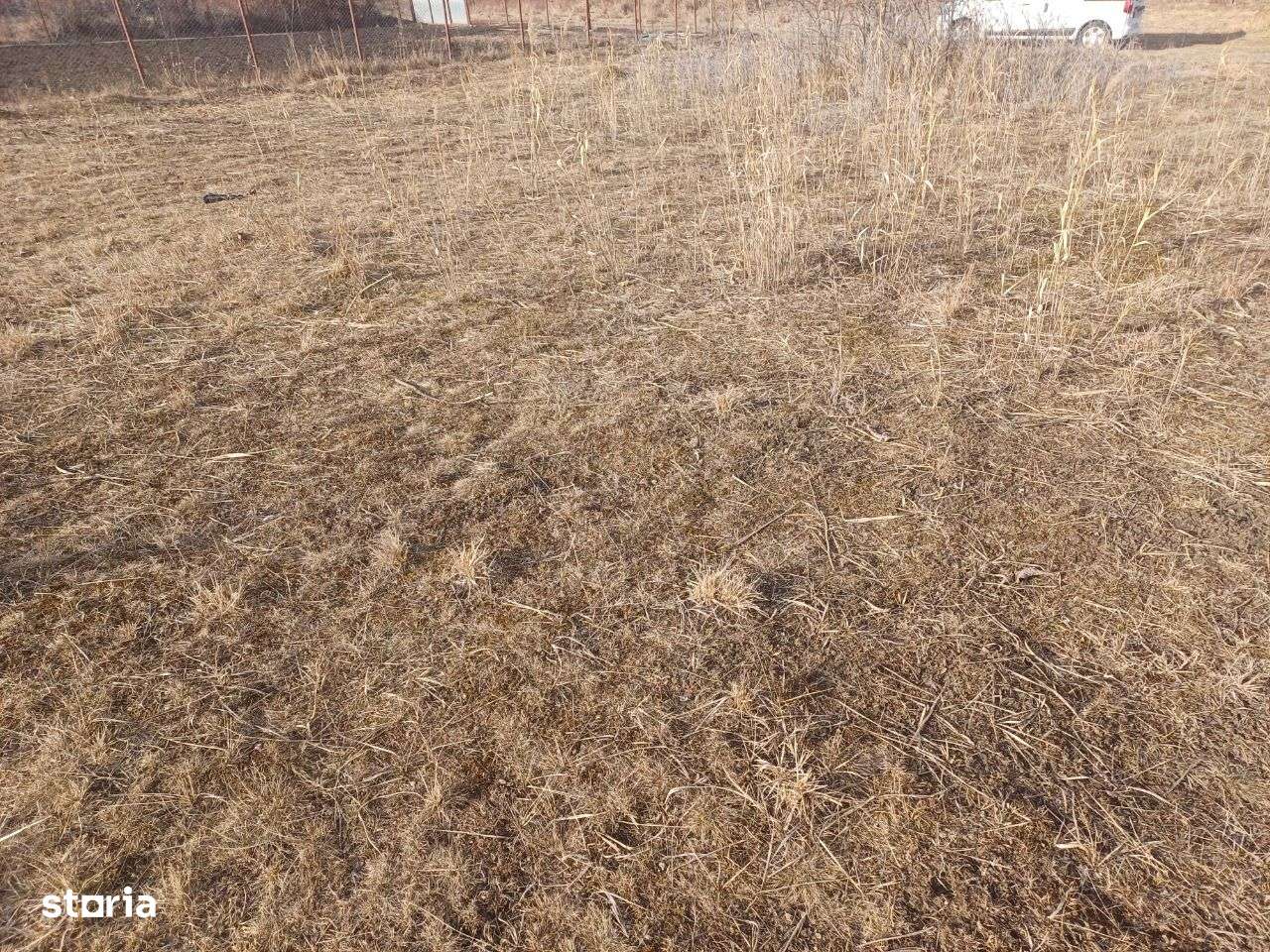 Vand teren intravilan in Becas - Imagine principală: 2/3