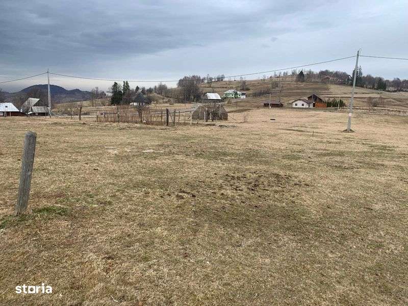 Teren 1500 mp, masivul Vladeasa, Rogojel, Cluj - Imagine principală: 5/6