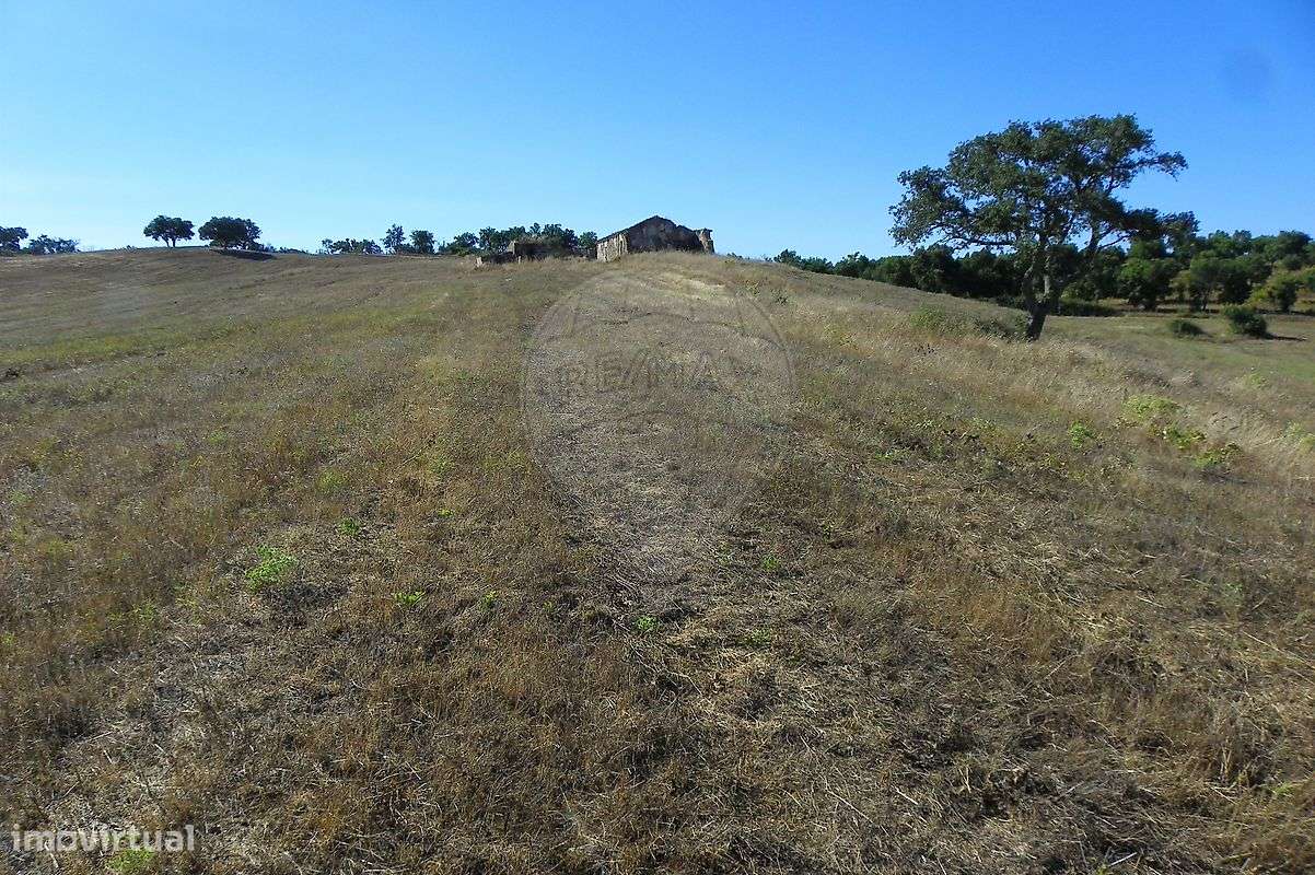 Quinta T0 para venda - Grande imagem: 3/24