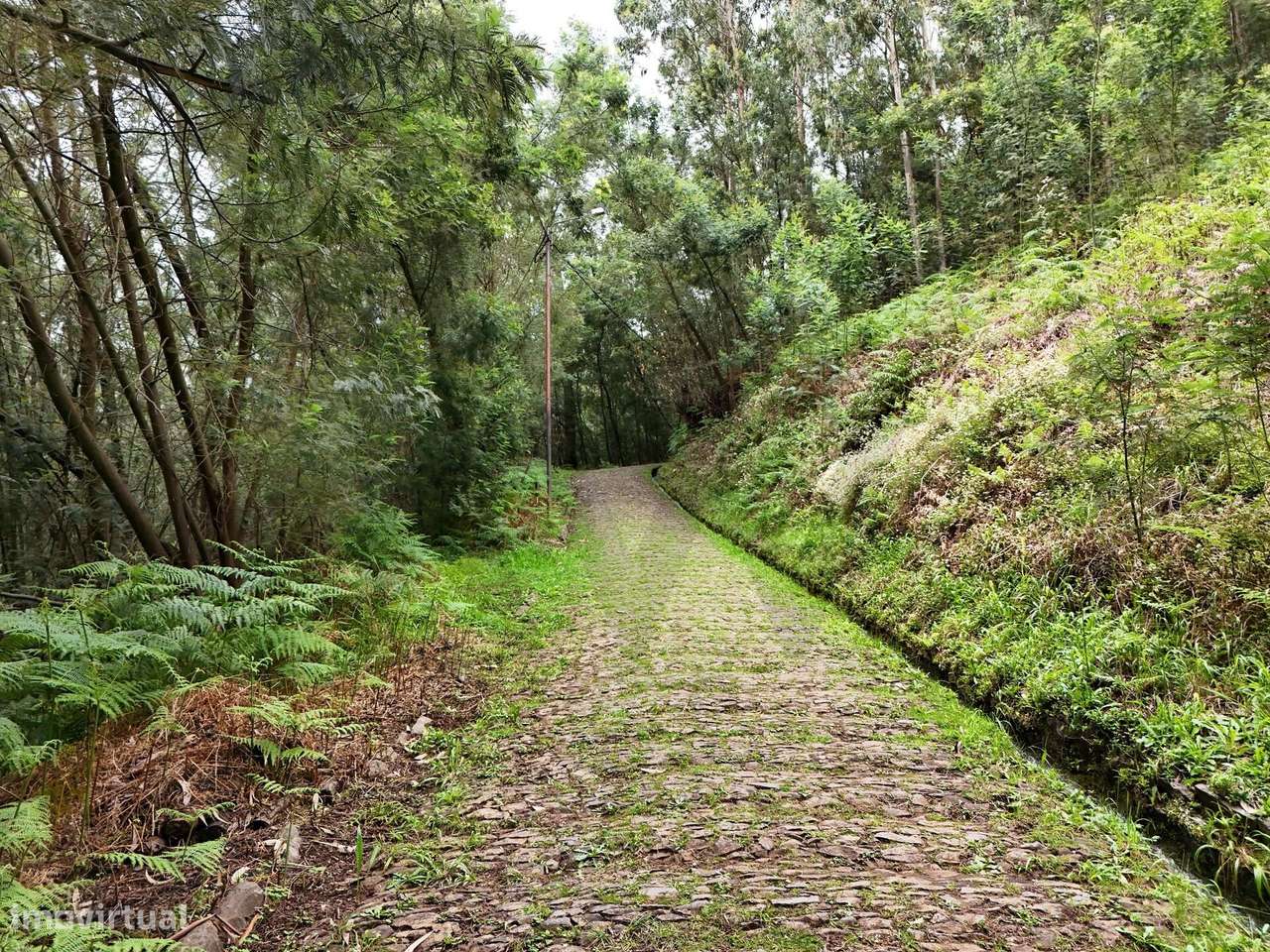 O Seu Refúgio de Sonho com Vista Deslumbrante sobre a Baía do Funchal! - Grande imagem: 4/8