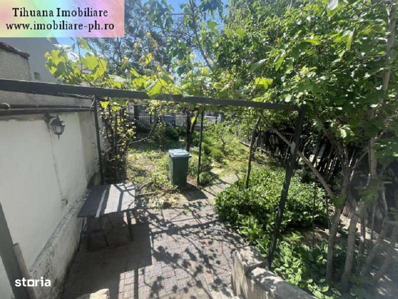 Casa de vanzare - Central-15