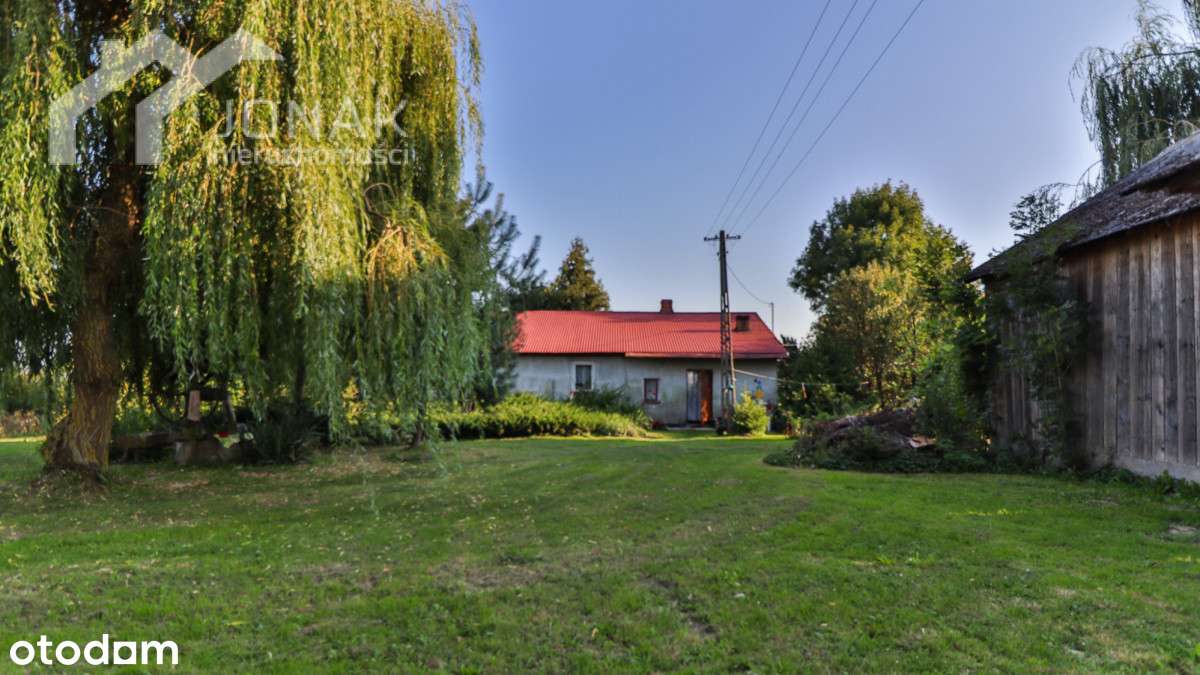 Siedlisko otoczone polami i łąkami - Pełny obrazek: 4/20