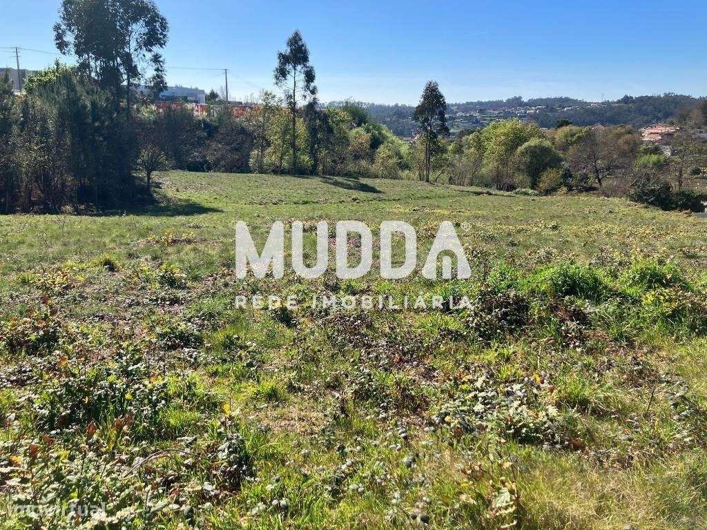 Terreno de 9.160 m2 junto a Zona Industrial - Grande imagem: 1/7