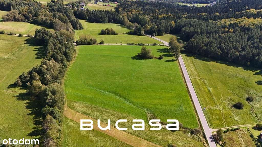 Działka inwestycyjna k. Nowego Sącza - Pełny obrazek: 4/4