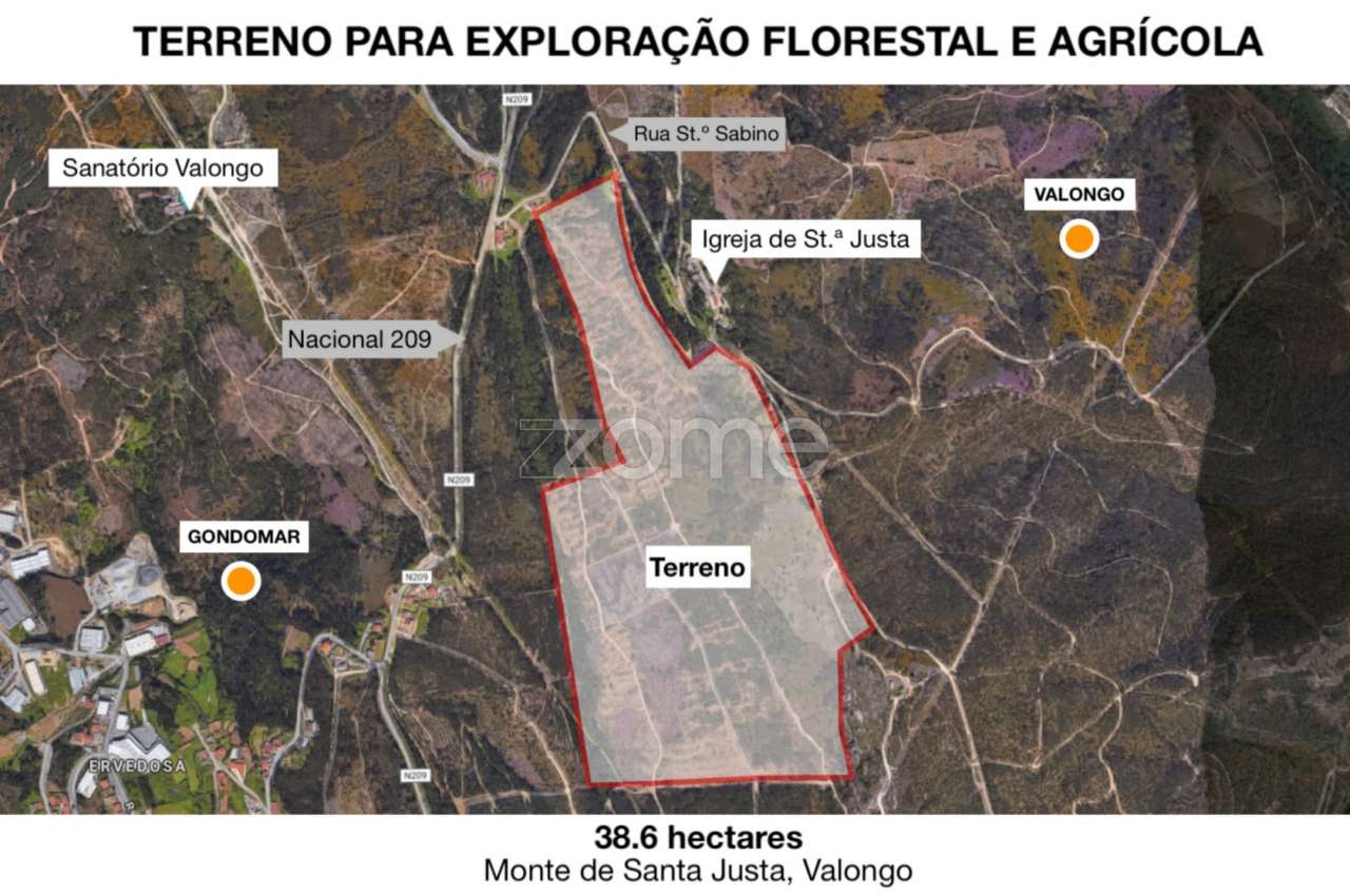 Terreno para exploração florestal e agrícola - Santa Justa, Valongo - Grande imagem: 2/19