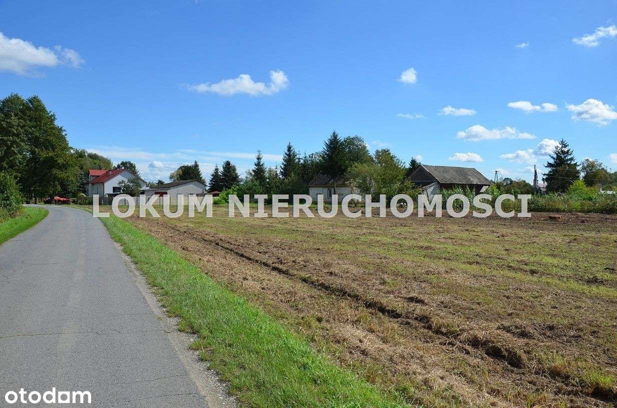 Działki budowlane 3,5km od rynku w Szczucinie . - Pełny obrazek: 5/9