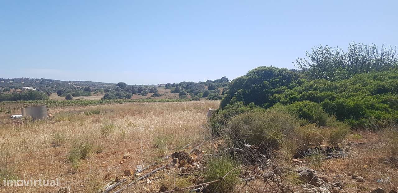 Excelente terreno rústico em Matos Brancos - Grande imagem: 4/13