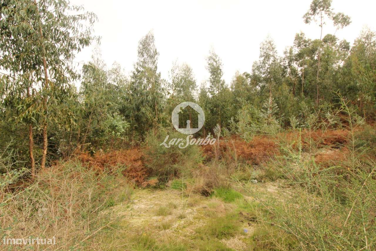 Terreno com 17.990m2 área S. Gens Fafe - Grande imagem: 5/16