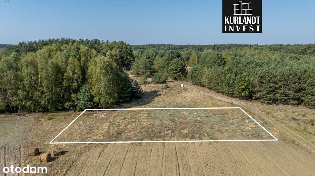 Działka Brzeźno 1.081 m² WZ Nowa Cena! - Pełny obrazek: 4/7