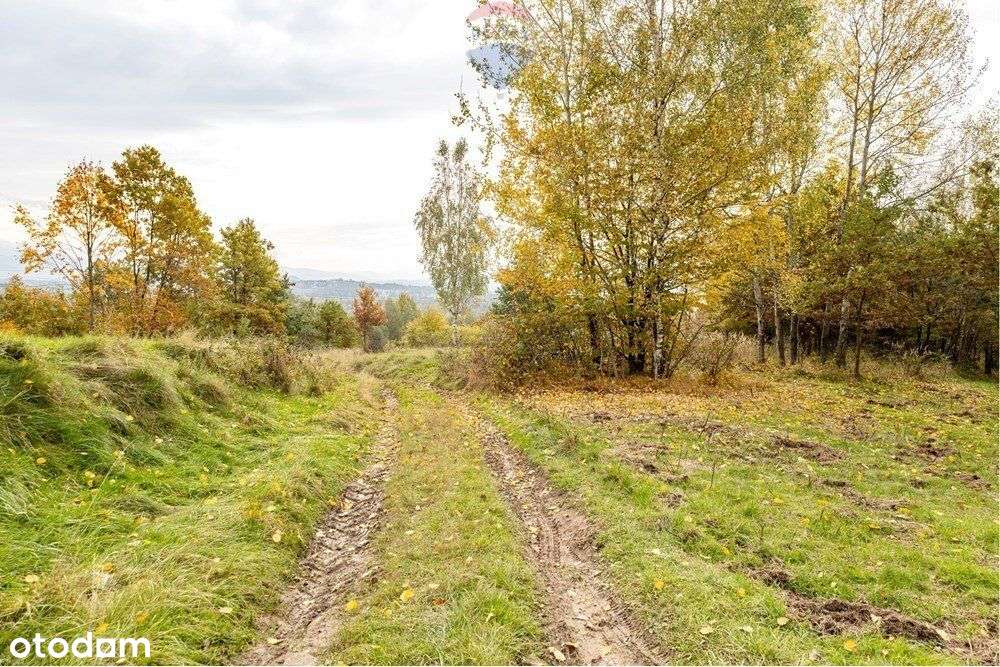 Działka leśna 862 m² w Oczkowie - Pełny obrazek: 4/12