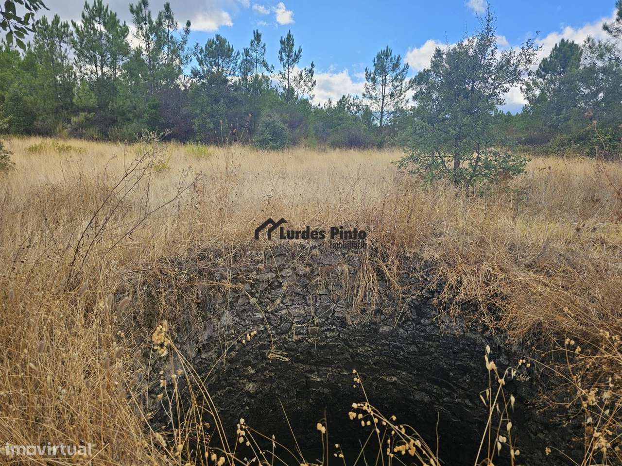 Quintinha com sobreiros-1