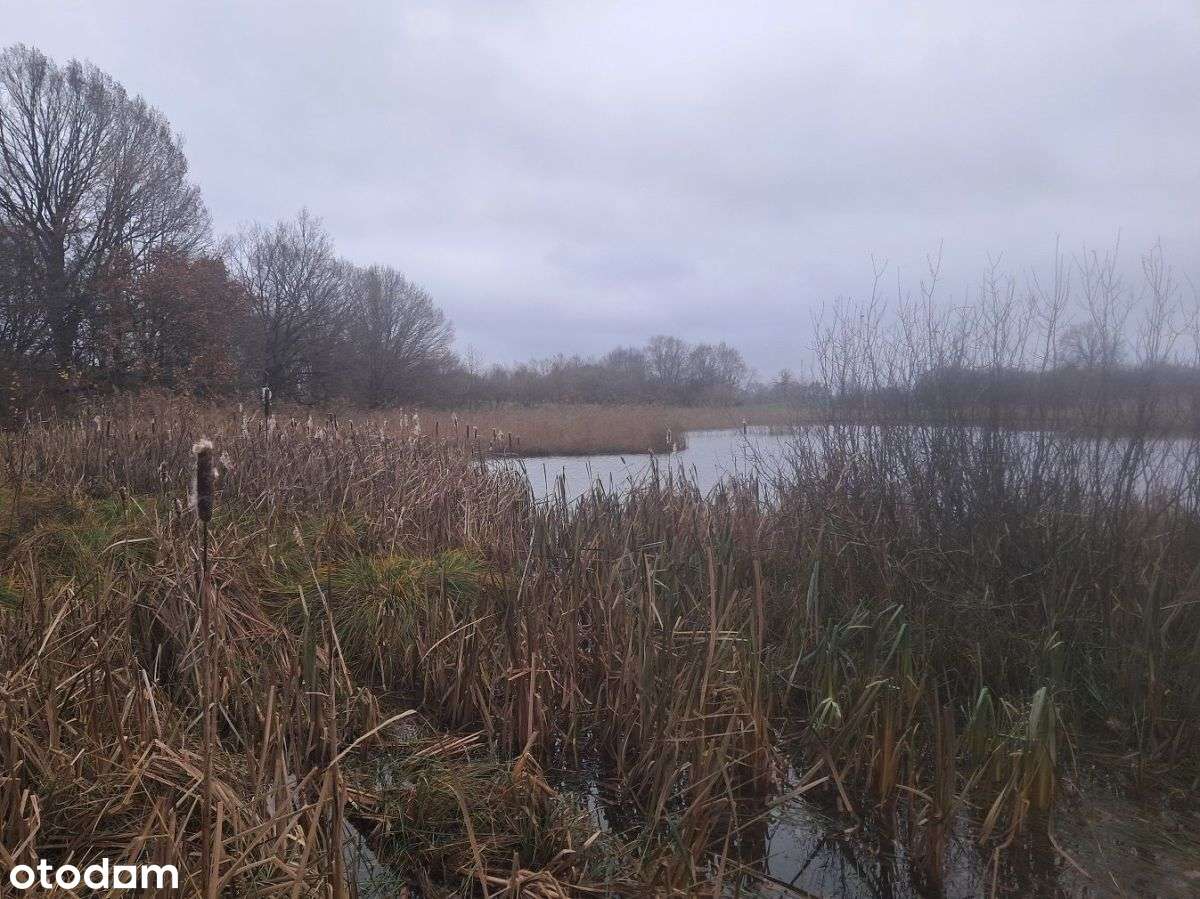 Dla miłośników wędkarstwa - Pełny obrazek: 5/8