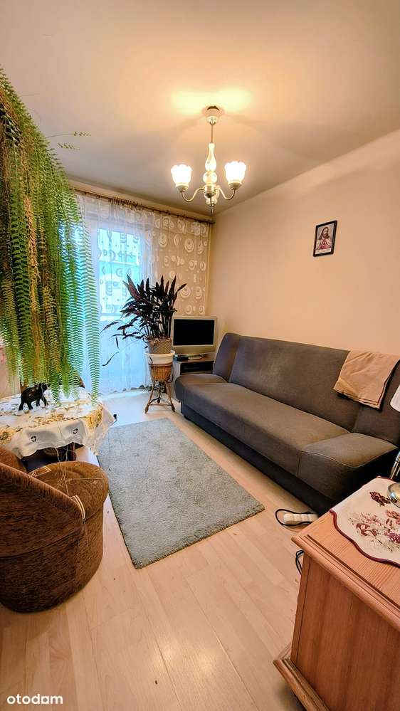 3 pokoje, balkon, niski blok, obok Parku Sielec-5