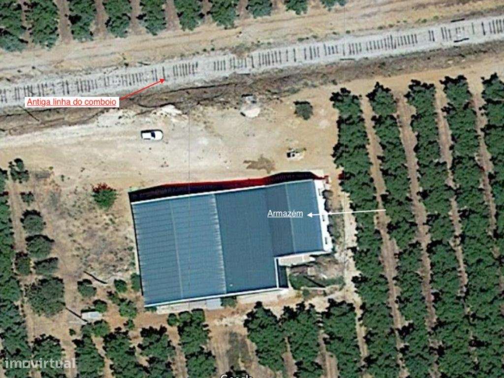 Estremoz Évora herdade 5ha projeto aprovado hotel Rural 4*e nogueir...-17