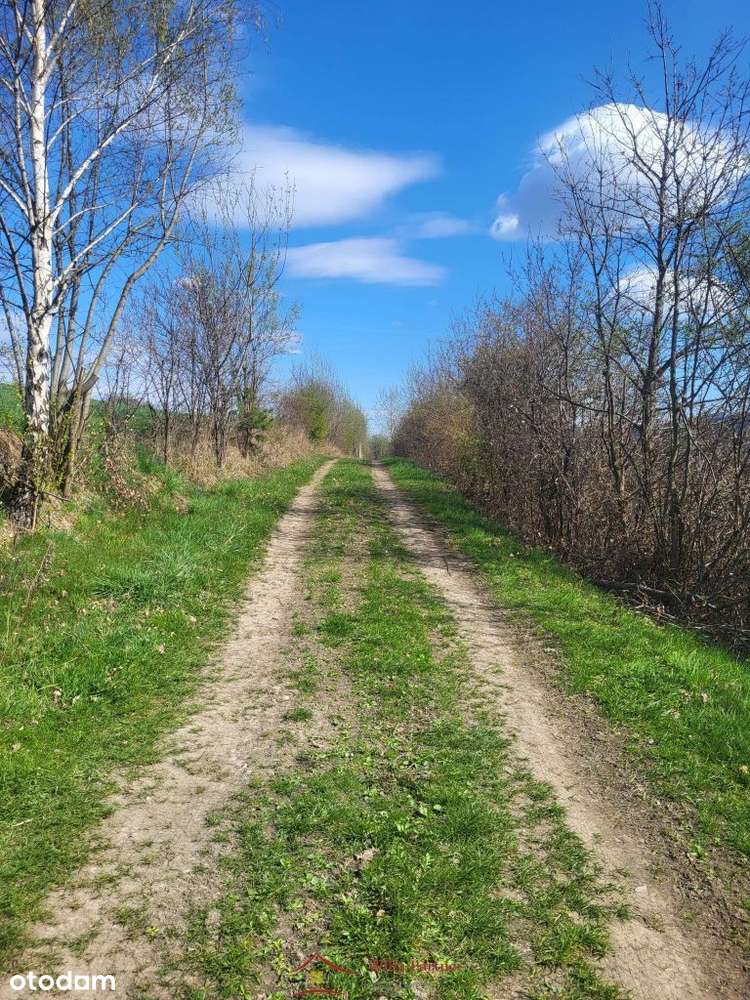 Stare Rybie, gm. Limanowa, widokowa działka z Wz n - Pełny obrazek: 5/10