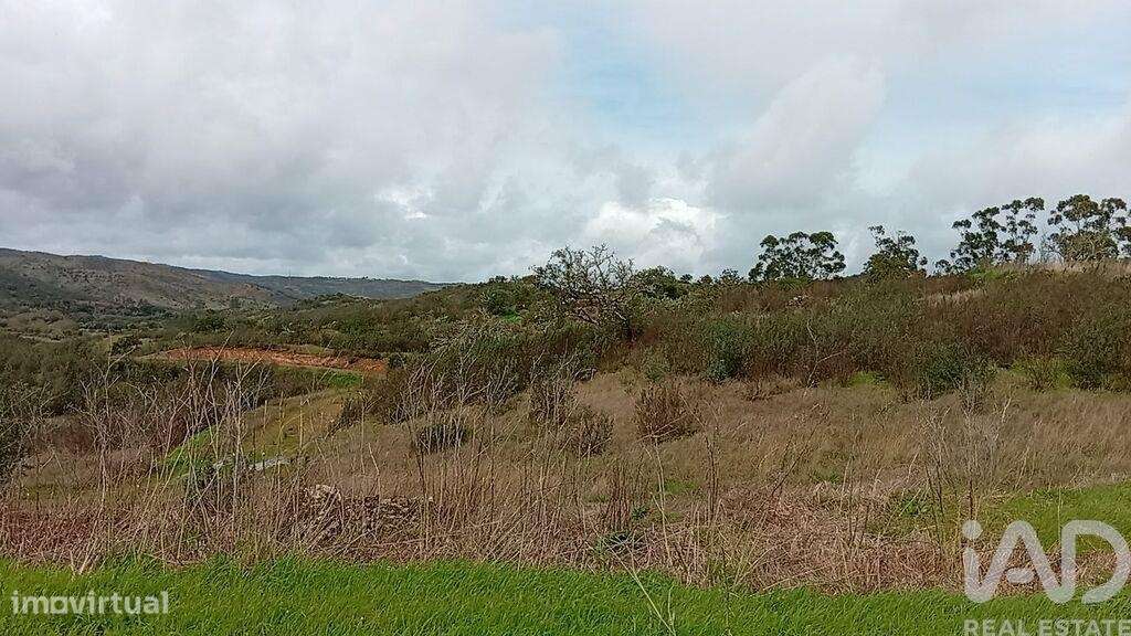 Terreno Agrícola em Ameixial - Grande imagem: 5/9