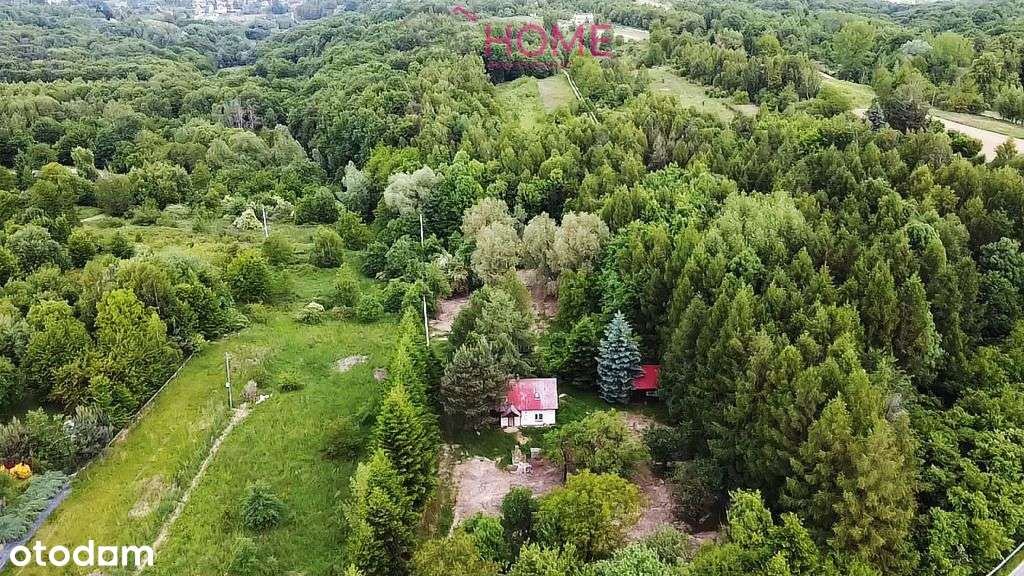 Działka na sprzedaż Tyczyn 50,85A- z małym domkiem - Pełny obrazek: 2/18