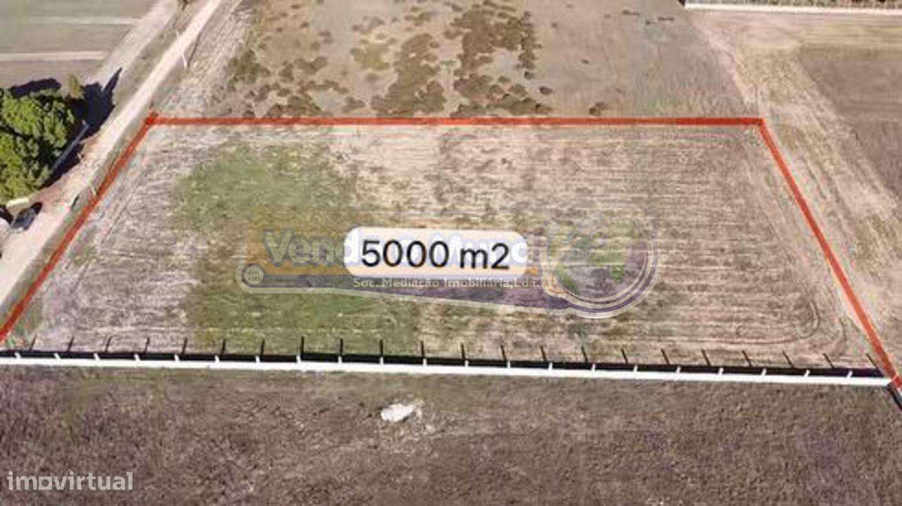 Terreno em Foros de Salvaterra (F797) - Grande imagem: 2/2