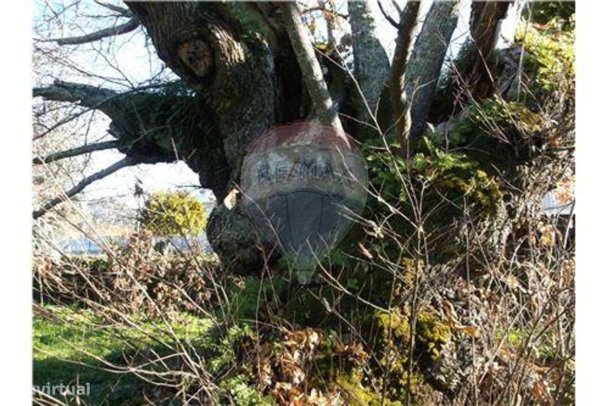 Moradia para recuperação-5