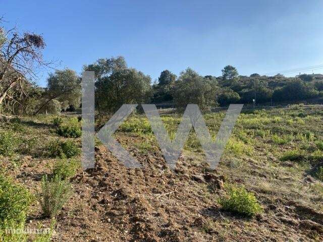 Terreno para Construção + Rústico em Tremês, Santarém - Grande imagem: 5/39