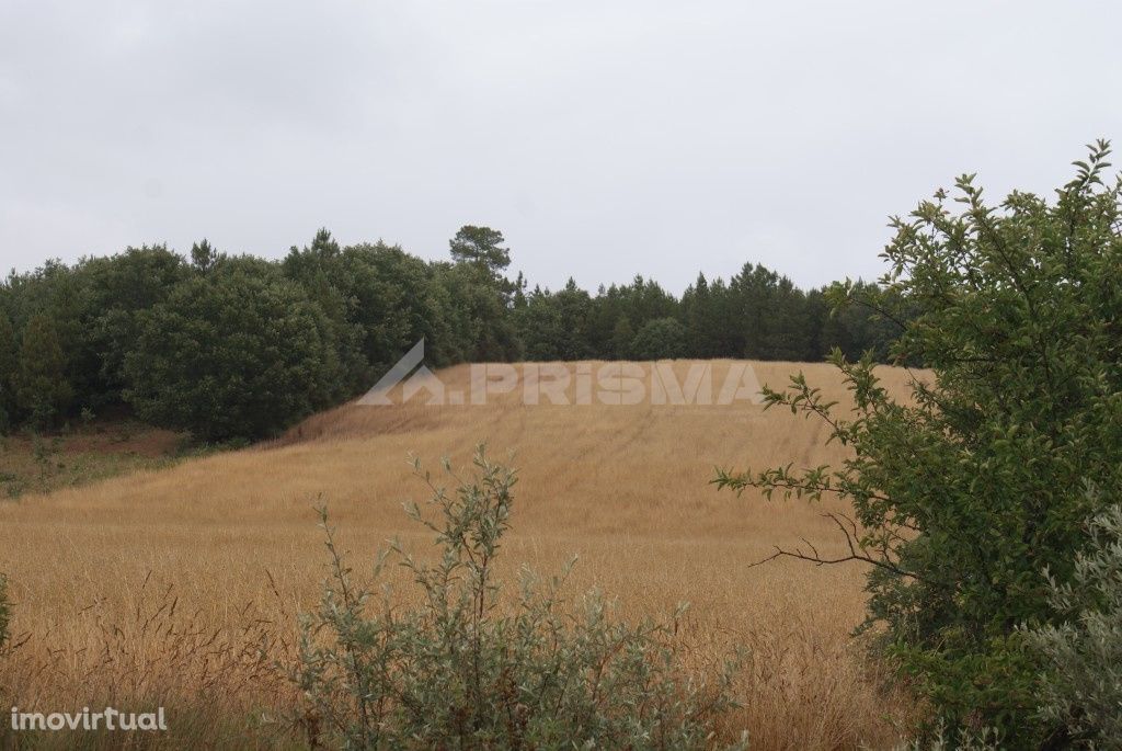 Terreno agrícola para venda