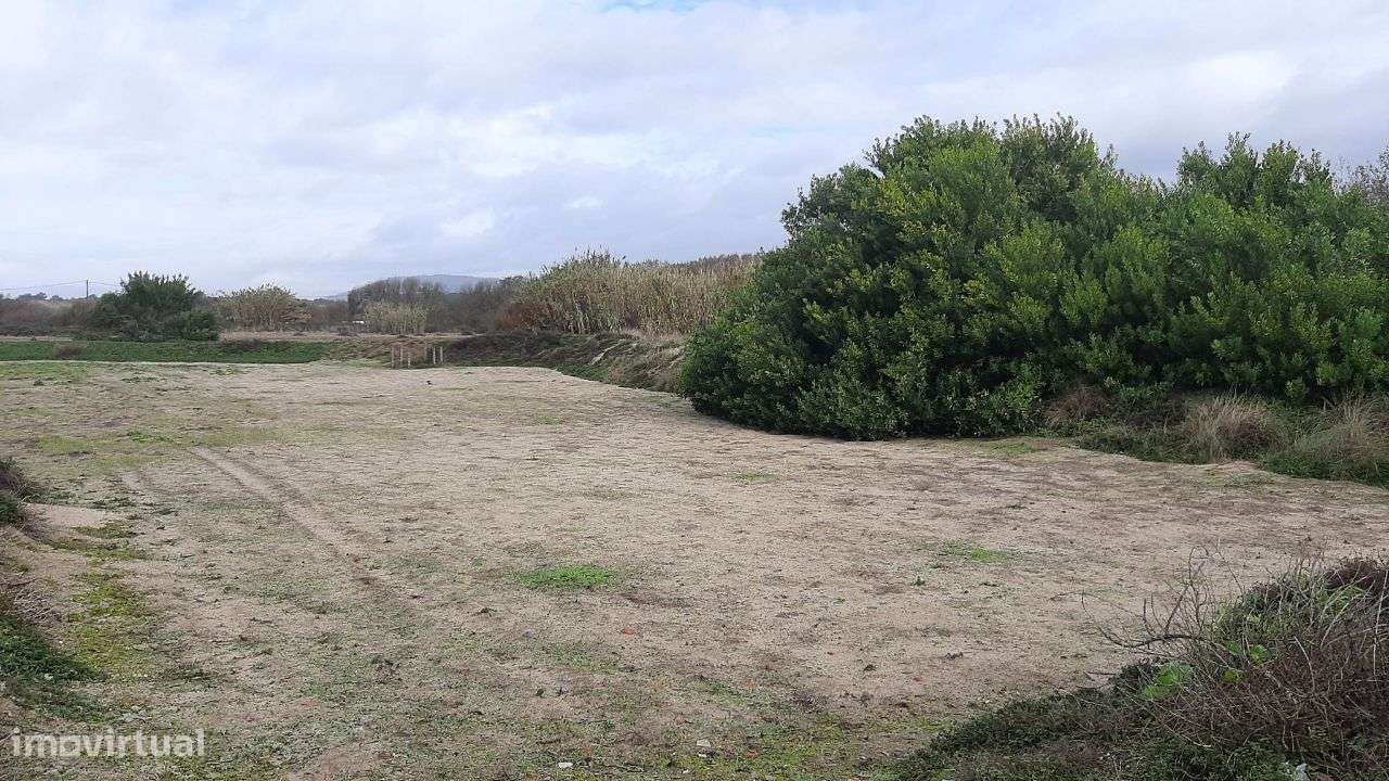 Terreno agrícola em Belinho - Grande imagem: 4/5