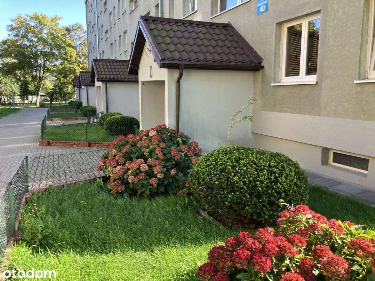 Mieszkanie z widokiem i na dobre zycie :-)-15