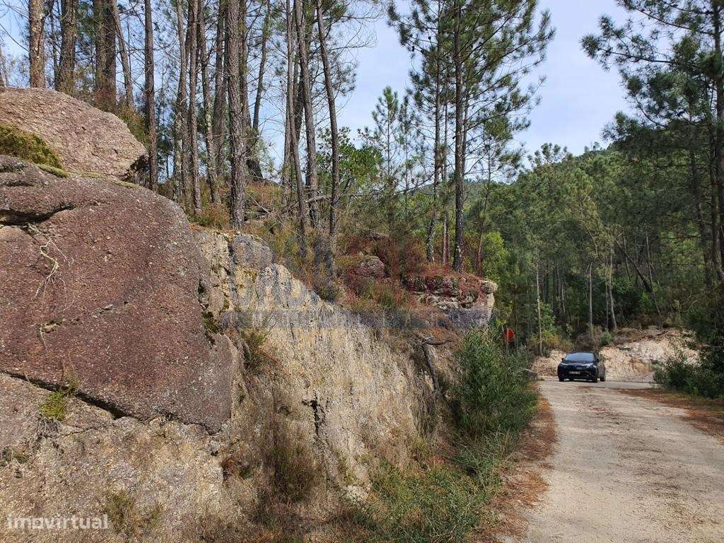 Terreno com 15.000m2 no Gerês - Braga - Grande imagem: 4/4