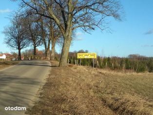 Działki budowlane Czerniki koło Kętrzyna , Mazury