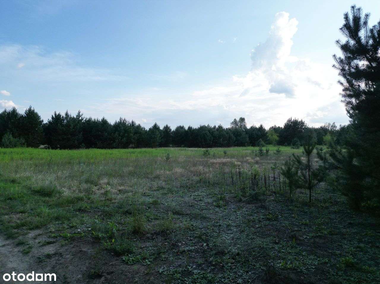 Działka budowlana w Stanisławowie, blisko media. - Pełny obrazek: 5/13