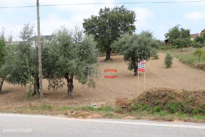 Terreno - Grande imagem: 4/10