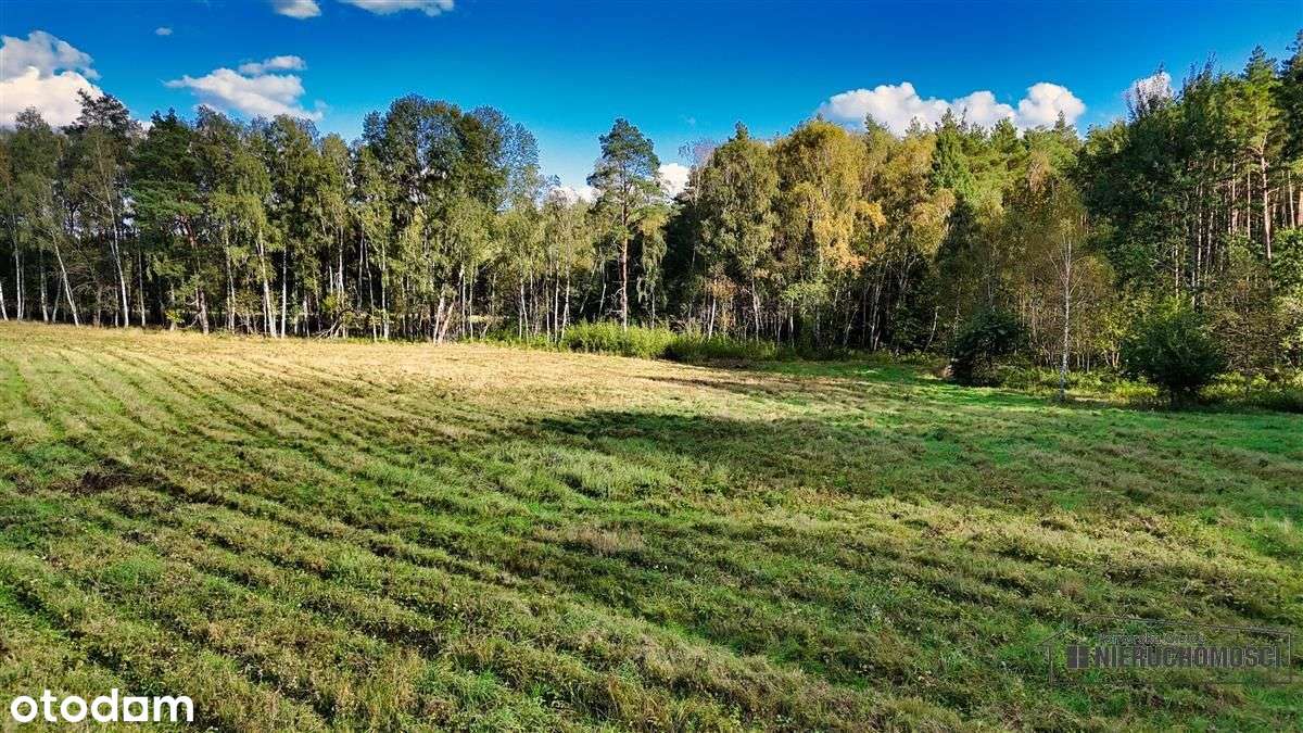 Pod Lasem Ok. 300 M Od Jeziora Pile - Dąbrowica --12