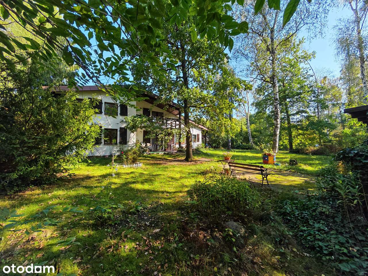 Duża zadrzewiona działka, salon wysoki na 6 metrów!-0