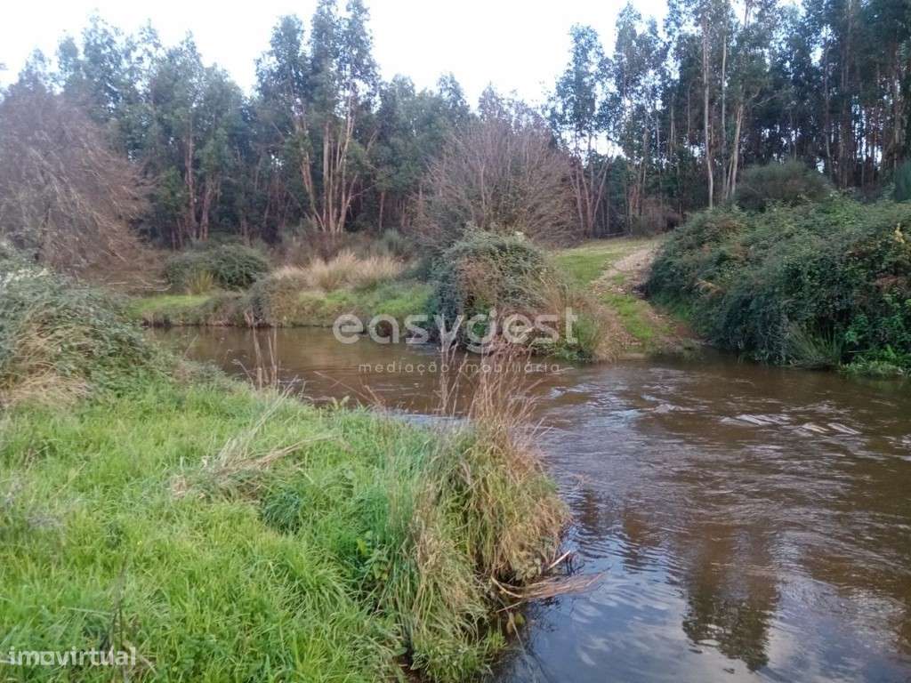 Excelente Terreno Rústico de 30200 m2 na freguesia de Castelo Branco - Grande imagem: 3/18