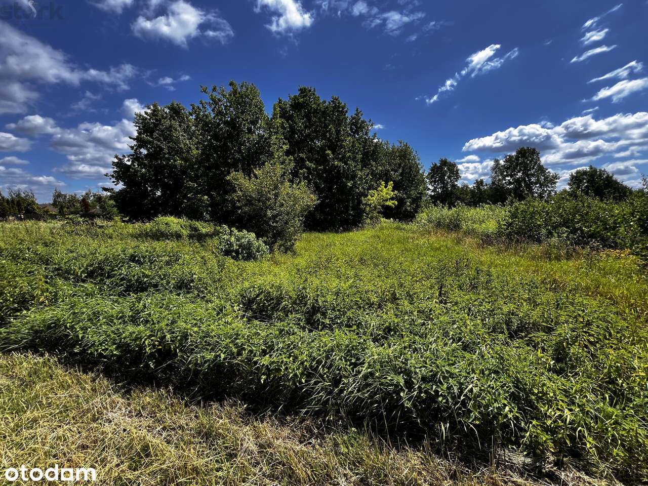 Działka Jaktorów 1720 m2 z warunkami zabudowy-8