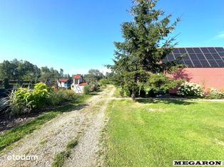 Lokal użytkowy, 4 320 m², Wysoka Lelowska - Pełny obrazek: 5/20