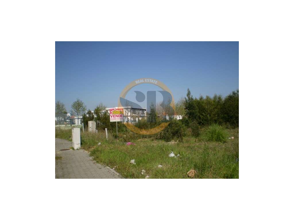 Terreno São João Ovar - Grande imagem: 3/5