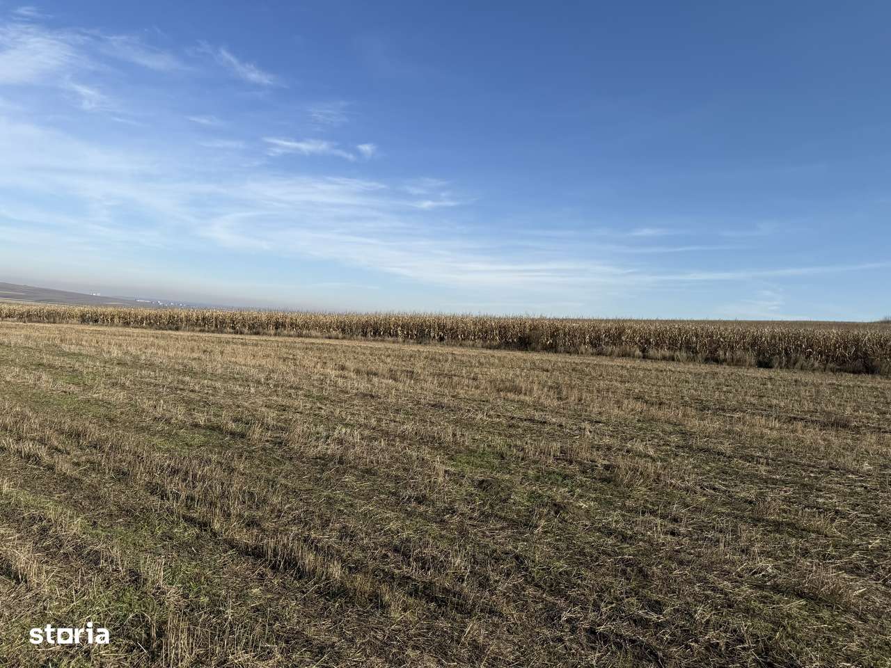 Teren agricol extravilan arabil Sfântul Ilie Suceava 1.49ha - Imagine principală: 4/7