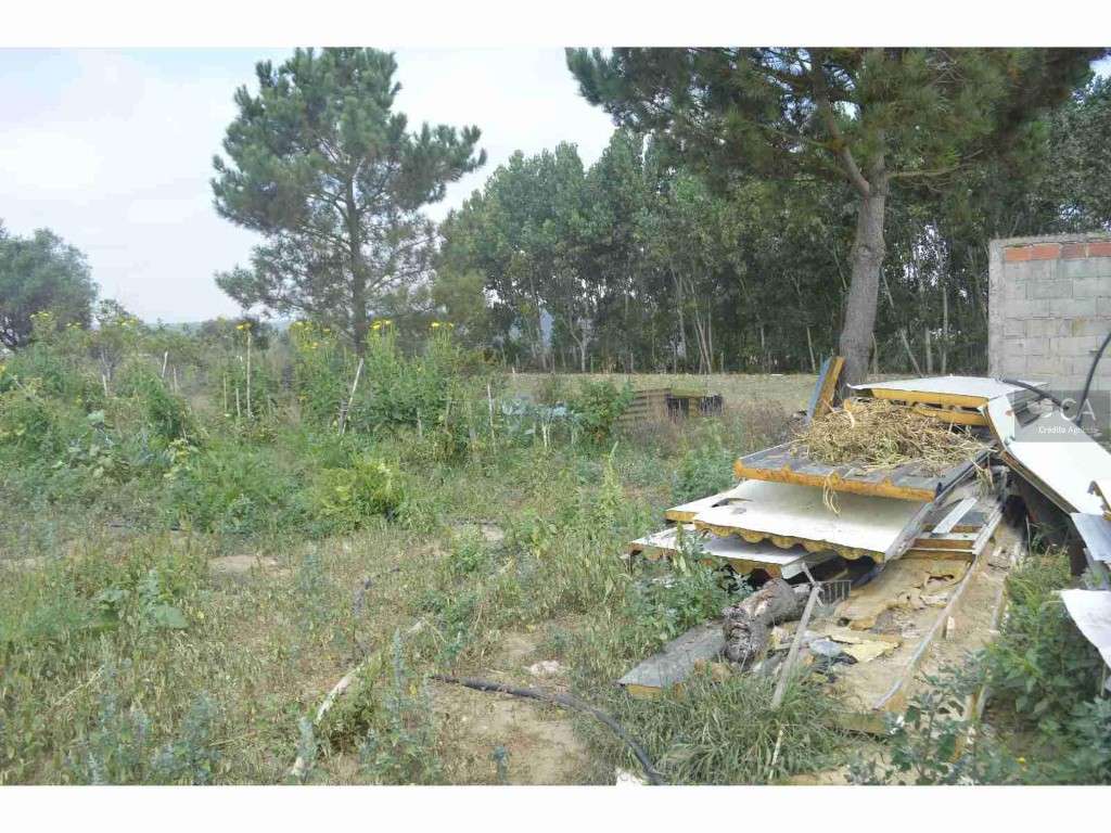 Terreno - Milagres - Grande imagem: 5/17