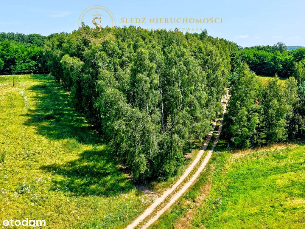 1,2 ha Działka Budowlana 45 min od Wrocławia + Las-6