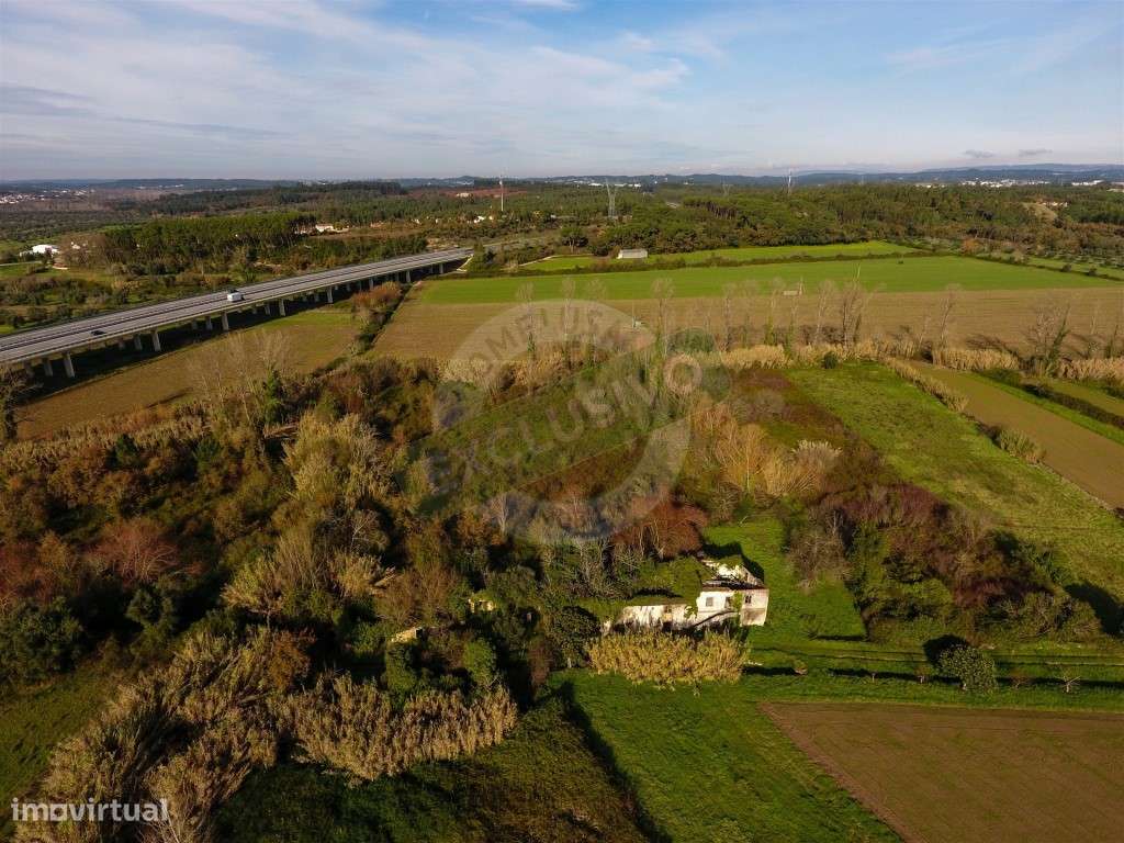 Quinta!! Perto de Coimbra! - Grande imagem: 4/21