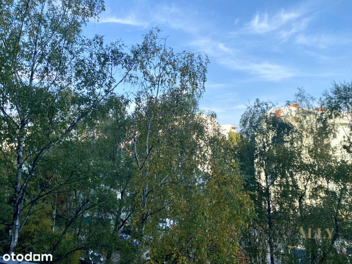 2-3 pok. po generalnym - Hala Wola - park - metro-8