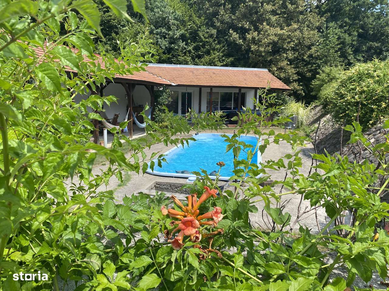 Proprietate exclusivista cu 60.000 mp teren și pădure - Imagine principală: 1/20