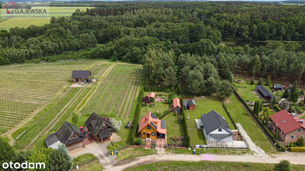 Urokliwa nieruchomość z drewnianym domem!-0